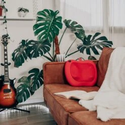 COUSSIN MASSEUR RELAXO 11 COUSSIN MASSEUR RELAXO -Ameublement De Maison 29 s2 009 images 29 s2 009 8