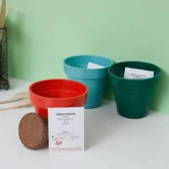 TRIO APERITIF 8 TRIO APERITIF -Ameublement De Maison 37 1j 012 images 37 1j 012 9