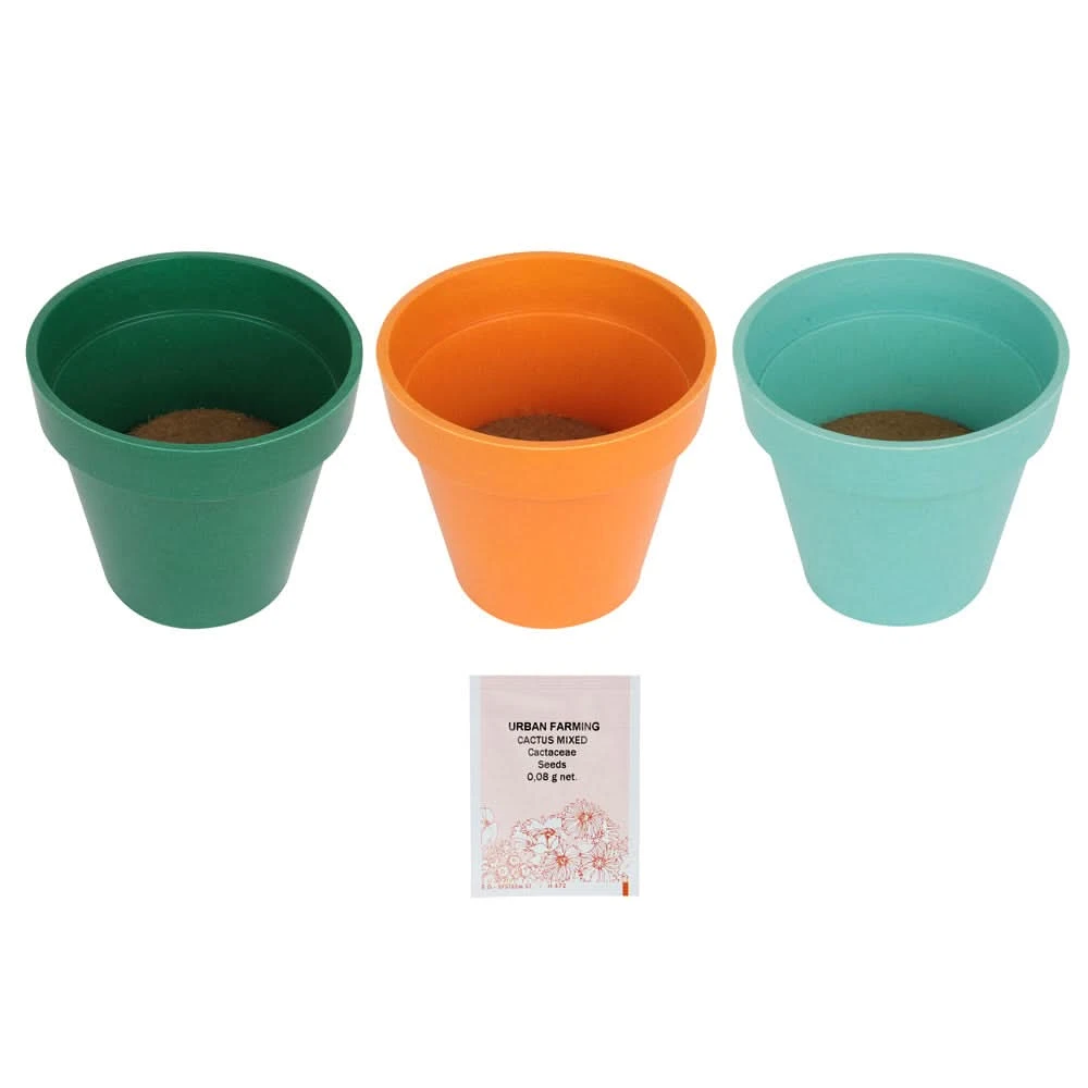 TRIO CACTUS 6 TRIO CACTUS – Image 4