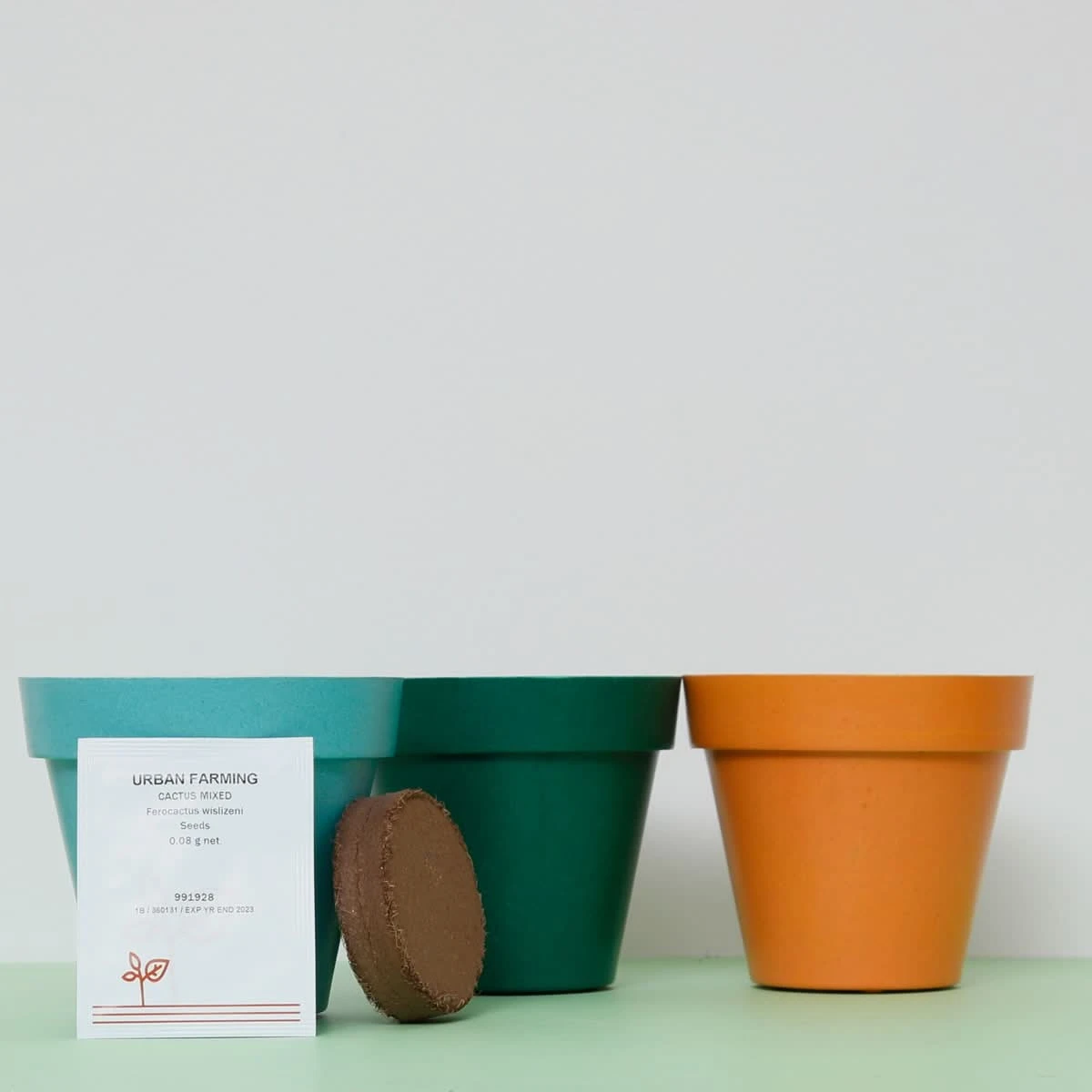 TRIO CACTUS 5 TRIO CACTUS – Image 3