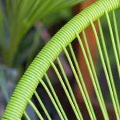 FAUTEUIL ACAPULCO TROPICAL GREEN 12 FAUTEUIL ACAPULCO TROPICAL GREEN -Ameublement De Maison 38 1m 002 images 38 1m 002 5