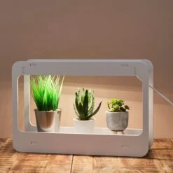 LAMPE POTAGER D'INTERIEUR