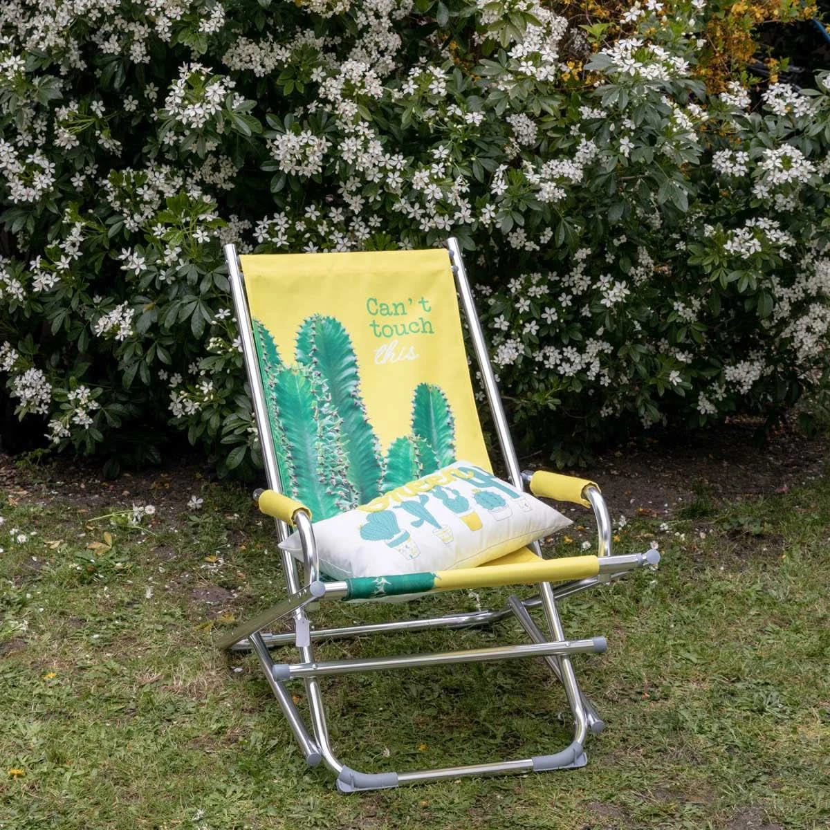 COUSSIN CACTUS 4 COUSSIN CACTUS – Image 2