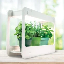 LAMPE POTAGER D'INTERIEUR -Ameublement De Maison 39 1j 040 images 39 1j 040 9