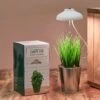 LAMPE POUR PLANTE USB