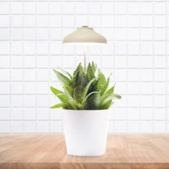 LAMPE POUR PLANTE USB -Ameublement De Maison 39 2l 012 images 39 2l 012 8