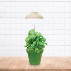 LAMPE POUR PLANTE USB -Ameublement De Maison 39 2l 012 images 39 2l 012 9