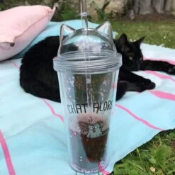 VERRE PAILLE CHAT ALORS -Ameublement De Maison 40 1x 008 images 40 1x 008 7