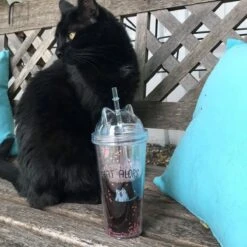 VERRE PAILLE CHAT ALORS -Ameublement De Maison 40 1x 008 images 40 1x 008 8