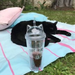 VERRE PAILLE CHAT ALORS