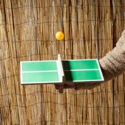 JEU PING PONG SOLO