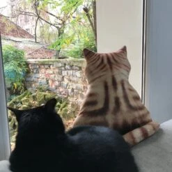 COUSSIN CHAT GROGNON -Ameublement De Maison 40 2q 016 images 40 2q 016 7