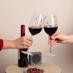 COFFRET DE 2 VERRES MUSICAUX