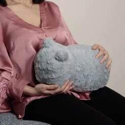 COUSSIN VIBRANT CHAT -Ameublement De Maison 41 1s 002 images 41 1s 002 7