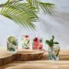 SET DE 4 VERRES COSYTIME