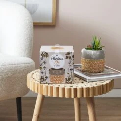 PLANTEUR AKI JAUNE 9 PLANTEUR AKI JAUNE -Ameublement De Maison 42 1J 007 PLANTEUR AKI JAUNE