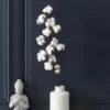 BRANCHE DE FLEURS DE COTON -Ameublement De Maison 42 1j 006 images 42 1j 006 9