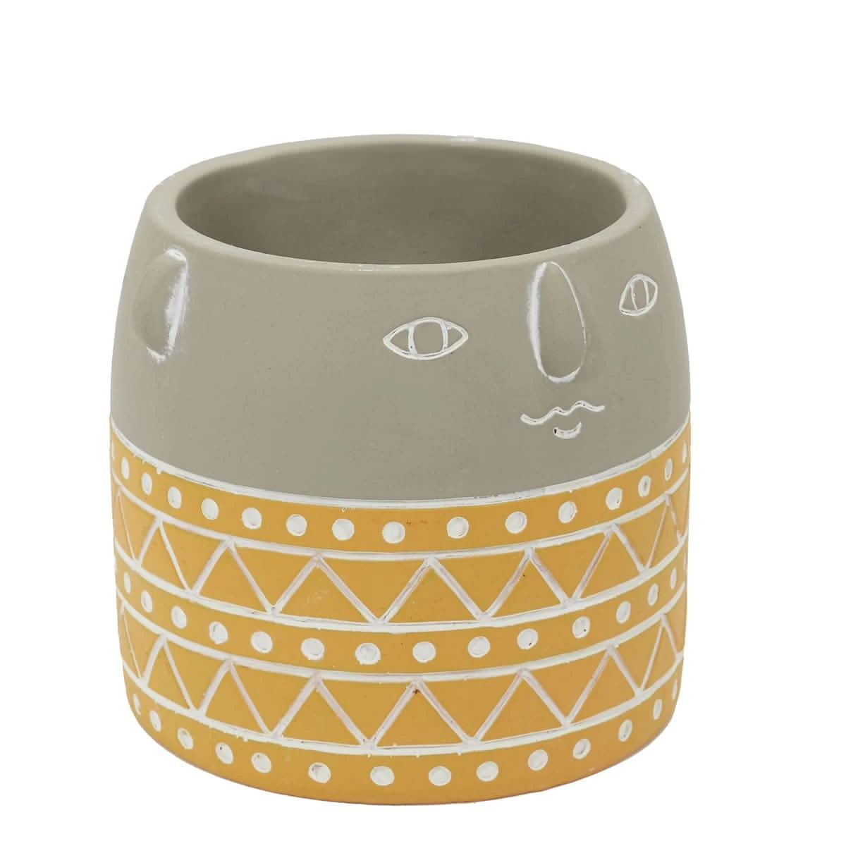 PLANTEUR AKI JAUNE 5 PLANTEUR AKI JAUNE – Image 3